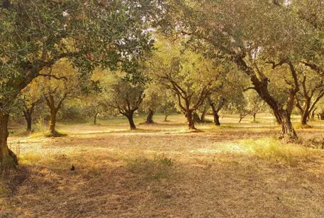 Percorsi a Montorio