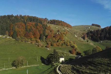 Lessinia